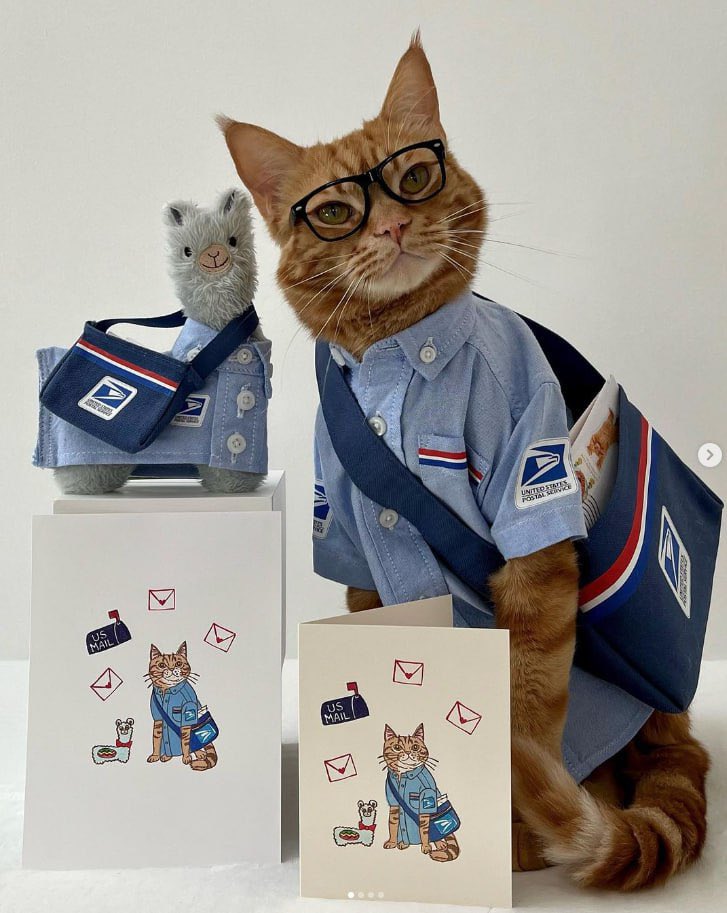 PrezCto's tweet photo. @SolanaPrincess $Sender is about to takeover the cat meta! 

@SenderCTO 

2fMo86crw3CkpN85g7DrYJJrCEjeEB38JtoA6s7Epump https://t.co/rfwwh2hnnp