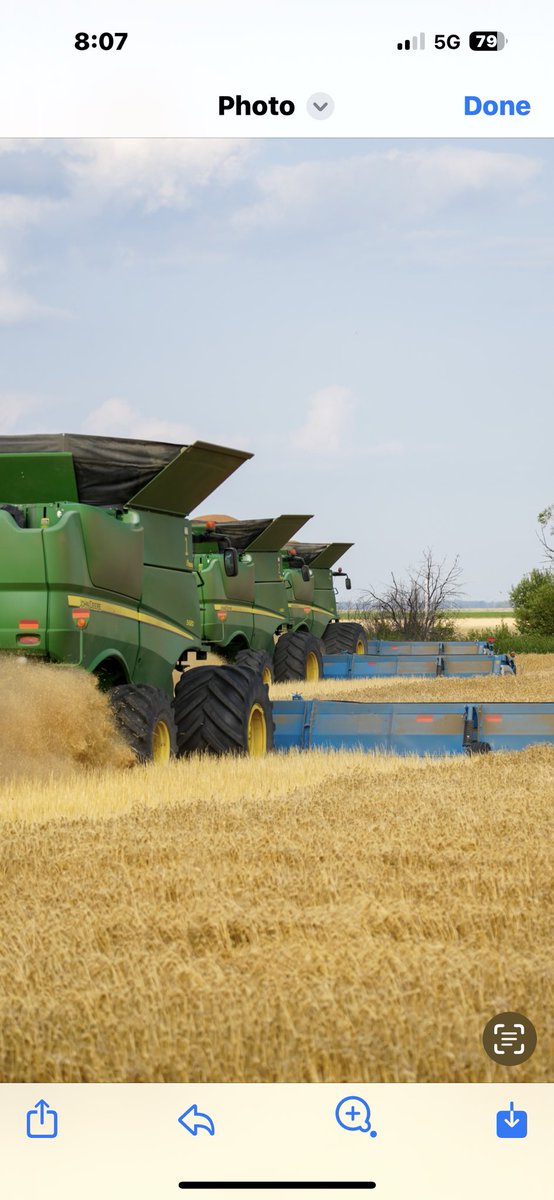 Matt Borgen (@mattmbfarm) on Twitter photo #wheat #harvest24 #Rain delay but Iโll take the moisture <a href="/JohnDeere/">John Deere USA</a> <a href="/ShelbourneReyno/">Shelbourne Reynolds</a> #wheat #harvest24 #Rain delay but Iโll take the moisture <a href="/JohnDeere/">John Deere USA</a> <a href="/ShelbourneReyno/">Shelbourne Reynolds</a>