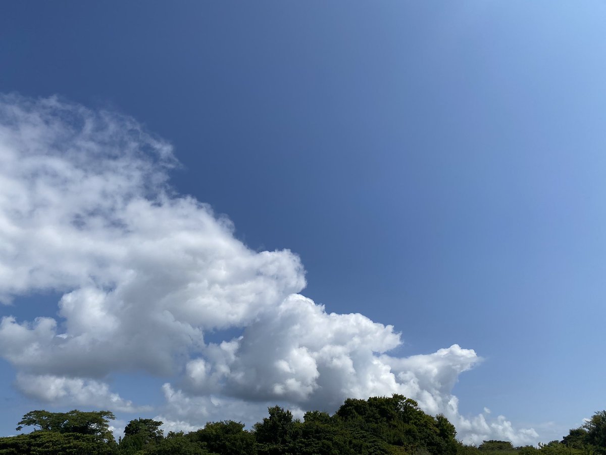 13Renpoko's tweet photo. 夏のソラ！今日も太陽さんよろしくお願いします(o^^o) https://t.co/KIZBAcxGNb