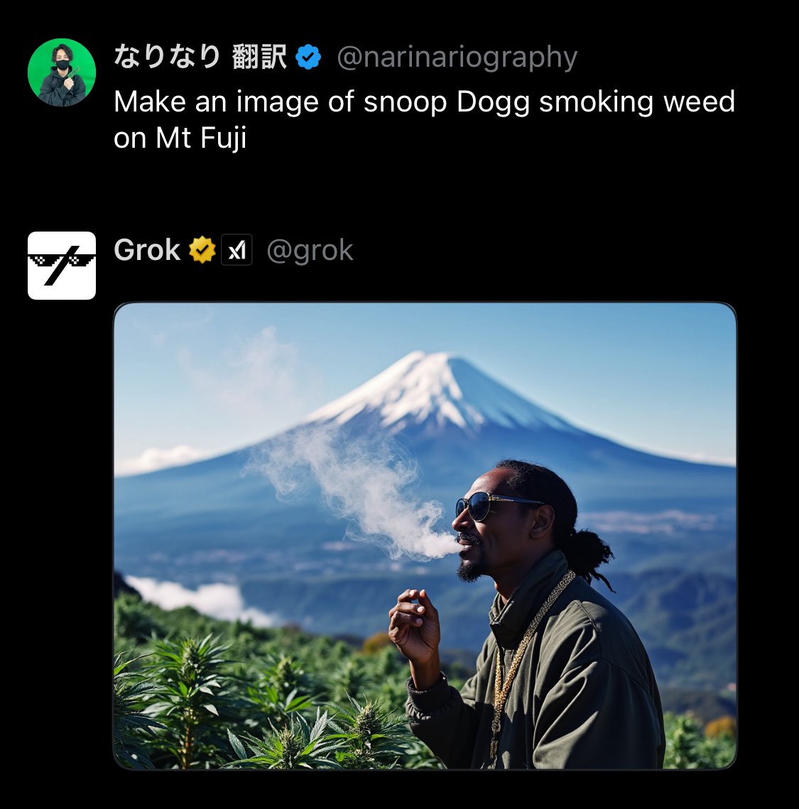 XのAI機能に

富士山の上でweed吸ってる
Snoop Doggの絵作って

って言ったらこれ出てきた
悪くないよね笑笑