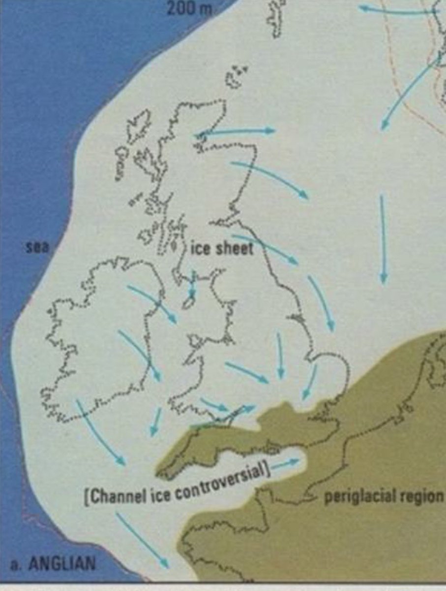 Matt Sibson tweet media