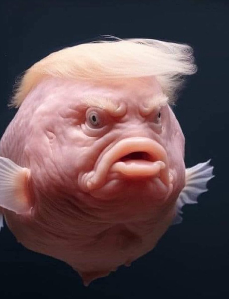concernedwith's tweet photo. https://t.co/96O2HcntML