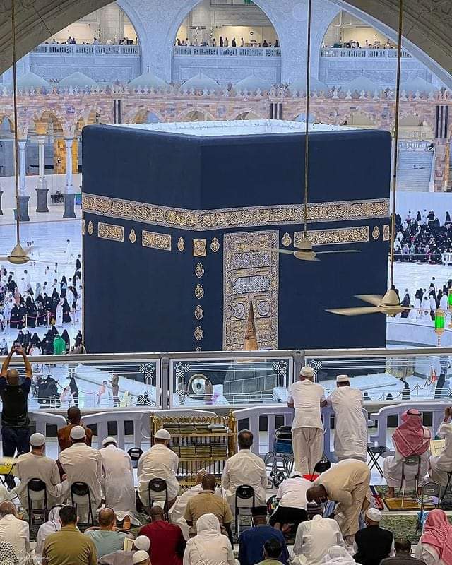 M.SADIQ🦋 tweet media