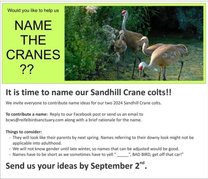 George C. Reifel Migratory Bird Sanctuary (@reifelsanctuary) on Twitter photo 