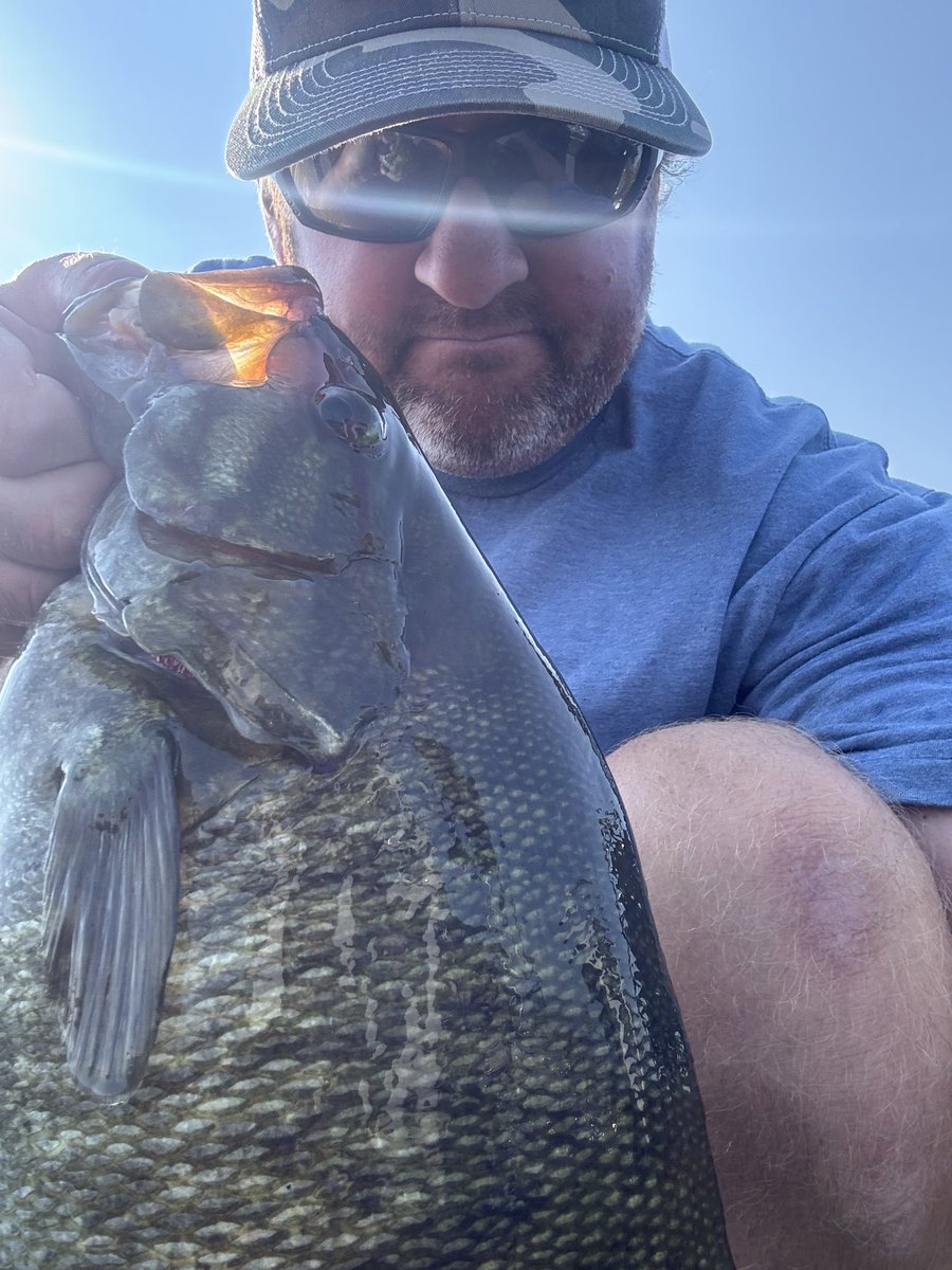 Small mouths and BIG ‘ol bodies! 

Ready to get the last Elite tournament of the year kicked off on the #stlawrenceriver tomorrow. 

We head out boat #21 and check in at 3:00pm EST

You can follow along on Bassmaster.com 

#TeamToyota #basselite #smallmouthdisneyland