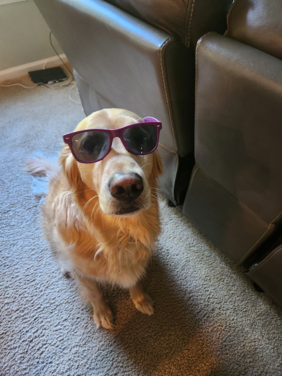Be cool like Chewie and book your room to the SHS Annual meeting in Louisville, KY by 8/26!! Key note speaker is the one and only Dawn Buse!!