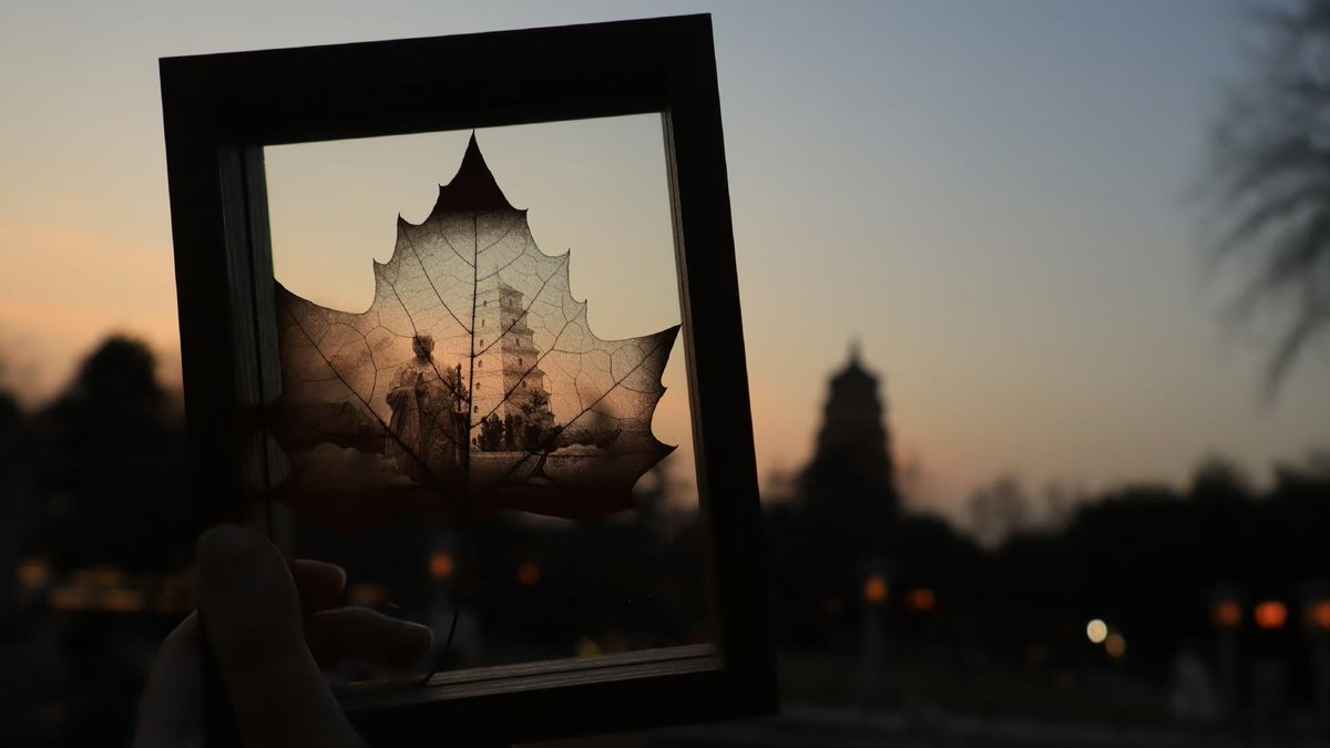 touch_beijing's tweet photo. #Carving on thin #leaves?
It is important to pay attention to the #brittleness and #dryness of the leaves, and ensure that they are not damaged, which can be quite #laborious. #art
(Pictures: Weibo accounts Orenoid; Little Red Book bloggers 破冰文化; 亚非) https://t.co/s3YYraj6Oq