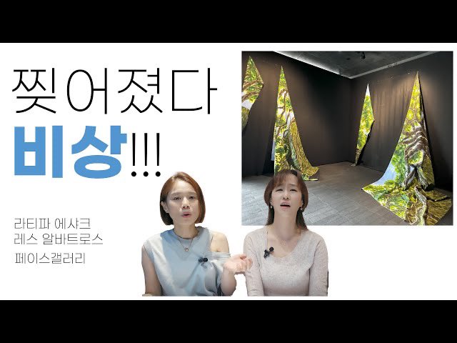 뱅크시보다 더 찢었다!!! 비상📣💡🔫

어느덧 36회째 에피소드🍃 이번주도 함께 감상 가보시죠🙌🏻 

📹 Vol.36 youtu.be/HKQ_3BNbagU?si…