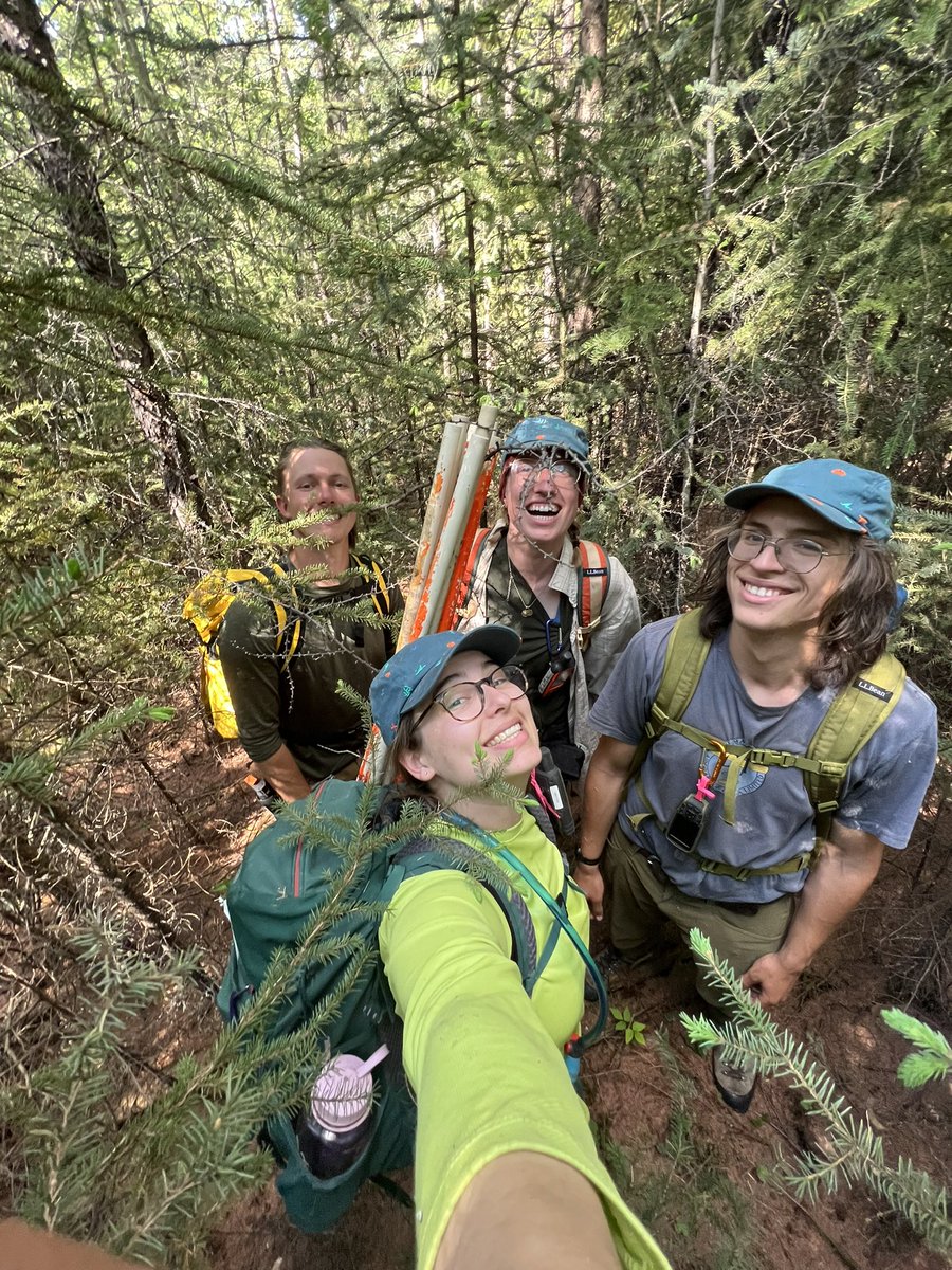 Field work update! 
We spent June in beautiful old growth forests underlaid by permafrost to investigate how thawing permafrost is affecting caribou lichen