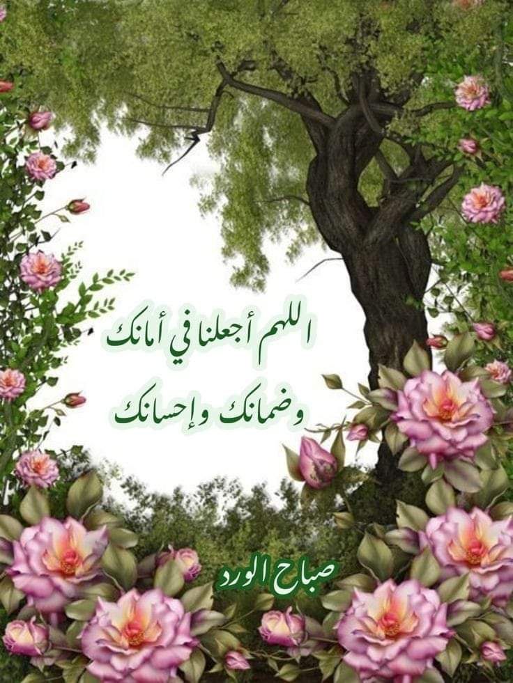 ghidhaalruwh's tweet photo. أصبحنا وأصبح الملك لله
اللهم هب لنا حنانًا من لدنك يؤنس أرواحنا.. 
هب لنا طاقة نصنع بها المستحيل
 هب لنا قوةً وصبرًا وسكينة.. 
وكن معنا يالله دومًا ولا تكن علينا.#صباح_الخير https://t.co/TGS1ueEKXk