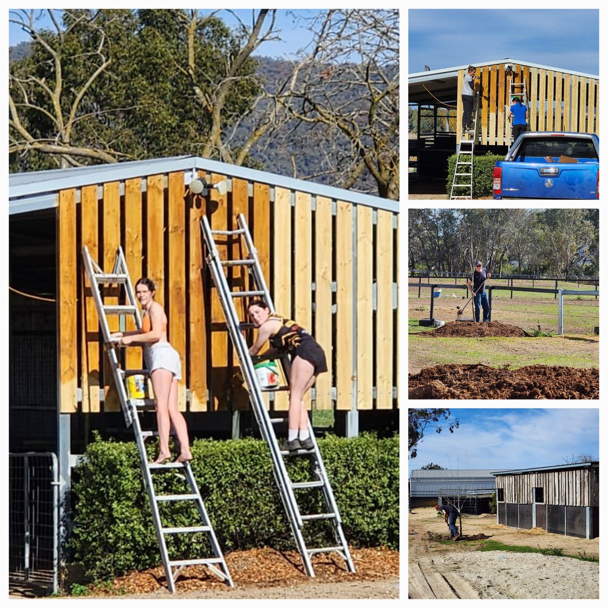 craigweeding's tweet image. There's always something to be done at Weeding Racing. 

With spring in the air, we've been doing a little maintenance and painting the boards on one new stable block on the farm.