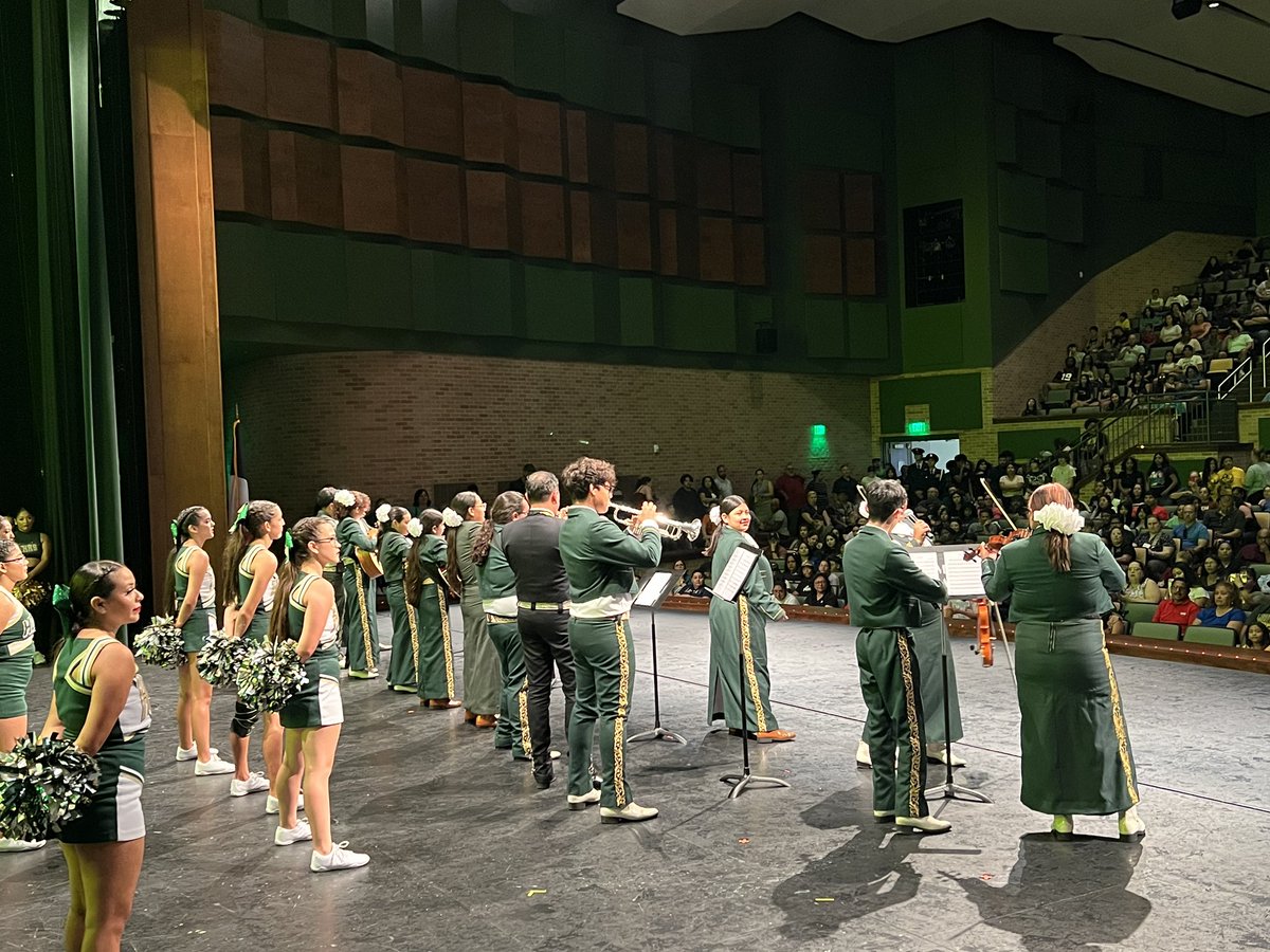 Meet The Huskies 💚💛