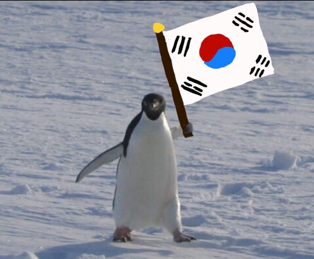 애두라 오늘 광복절인데
베란다에 태극기 안달았어?
'-')- 프리미엄금빛봉방수태극기 13100원이여
사서 개천절엔 달쟈