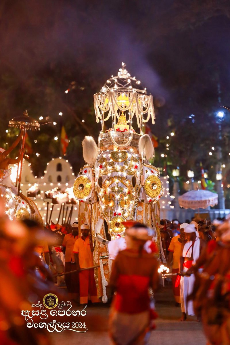 SriDalada's tweet photo. In the city of Senkadagala, where ancient traditions weave through time like golden threads, Wasana of Kataragama bore the revered Relic Casket, flanked by Kotteraja and Myanraja, leading the final Kumbal procession.

#KandyEsalaPerahera2024 #SriDaladaMaligawa #SriLanka https://t.co/NFXldIoJ50