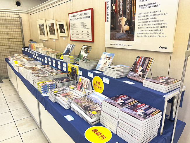 nihonnekoaruki's tweet photo. 本日から八丁堀本店（広島）で新作写真展「ご当地ねこ」が開幕しました🐾本展では日本全国47都道府県の「ご当地ねこ」たちが大集合します。
写真展会場では写真集や会場限定のオリジナルグッズも多数ご用意しています。
皆さまのご来場お待ちしております♪
https://t.co/lGyrCaDjyN https://t.co/ILvttCMuCu