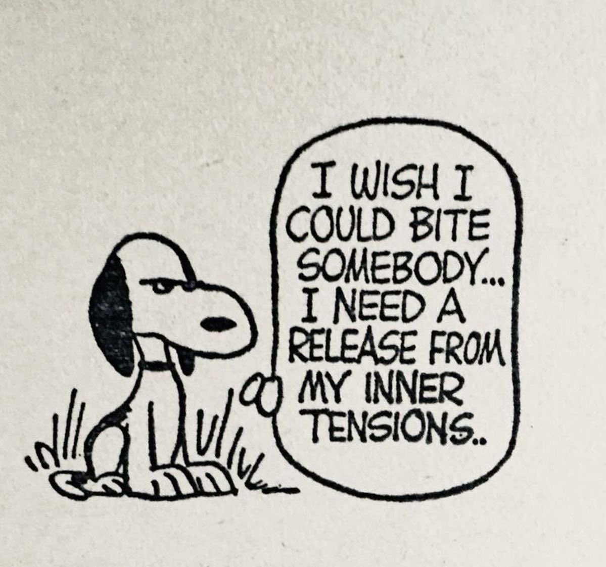 ୭ৎ (@snoopystwin) on Twitter photo 