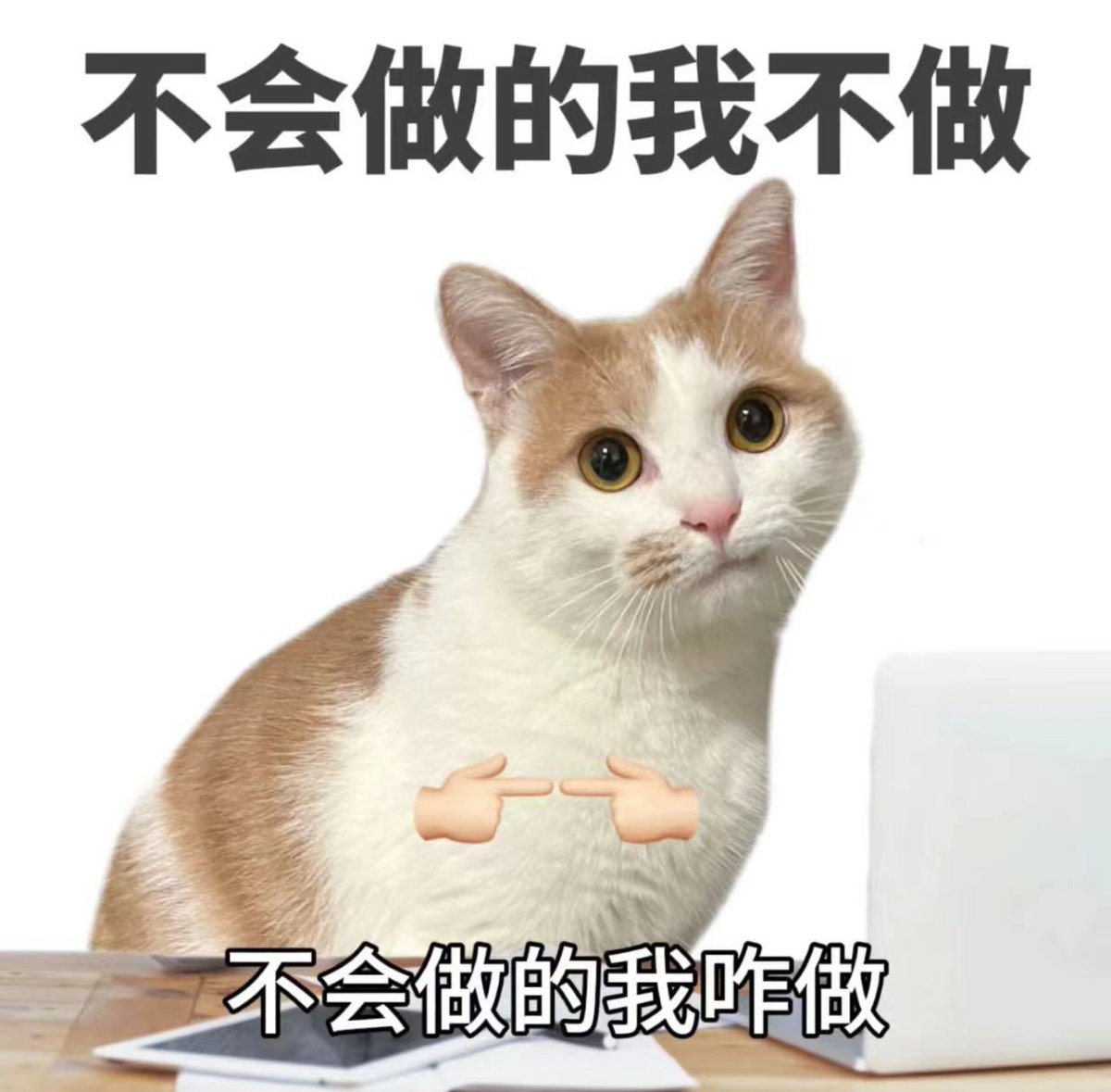 blockjob2022's tweet photo. #Blockjob
工作我有4不做 https://t.co/BmXVb10xhe