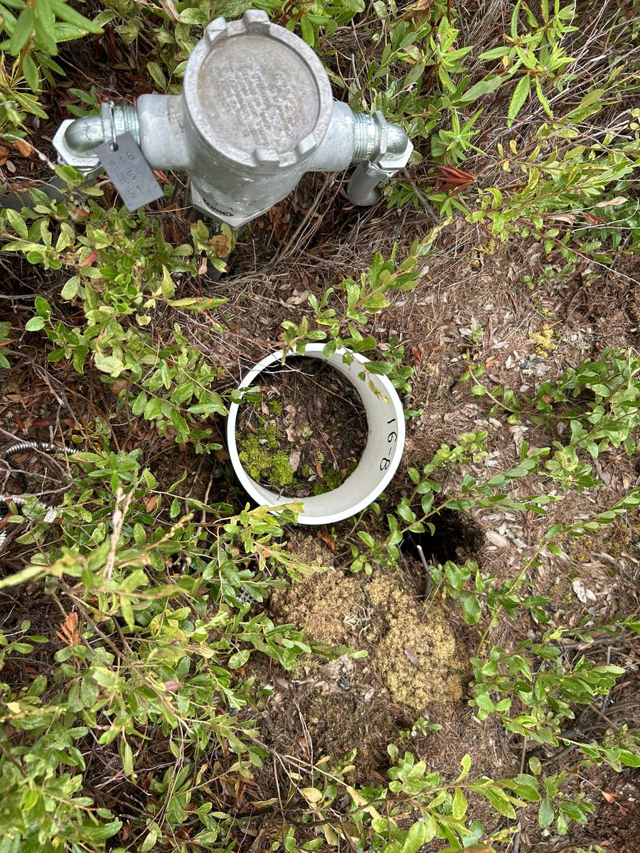 Chris Schadt tweet media