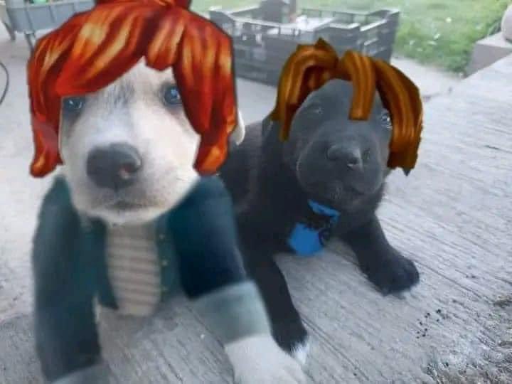 Near (@idkneaar) on Twitter photo 