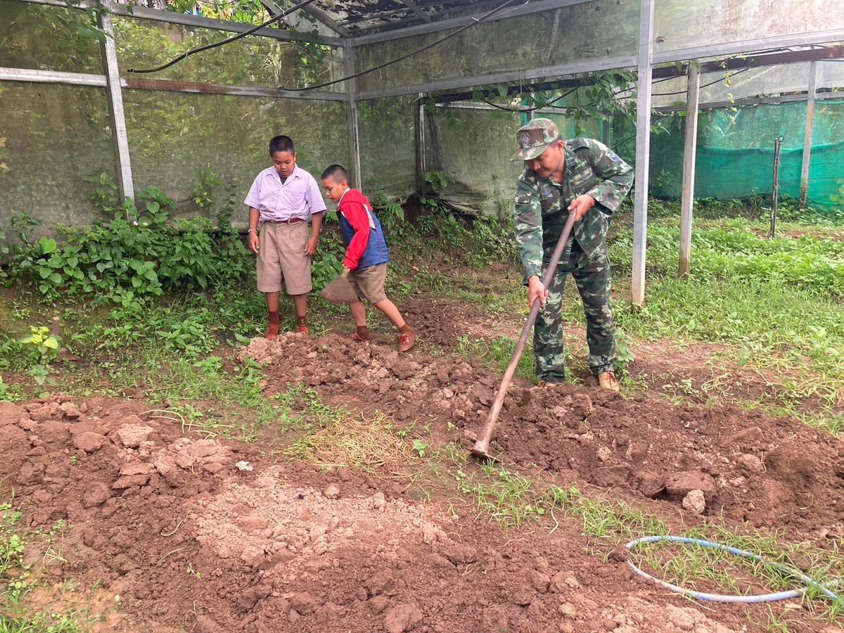 armypr_news's tweet photo. 🥬🥦โครงการทหารพันธ์ดี “ชุมชนเบิกบาน อาหารปลอดภัย”🫛🥕

#กองพลทหารม้าที่1 โดยกองพันทหารม้าที่ 15 กรมทหารม้าที่ 2 จัดชุดปฏิบัติการทหารพันธ์ุดี ร่วมกับคณะครูและนักเรียน ดำเนินการตามโครงการทหารพันธ์ดี “ชุมชนเบิกบาน อาหารปลอดภัย” ตามพระราชดำริในสมเด็จพระกน��ษฐาธิราชเจ้า กรมสมเด็จพระเทพรัตนราชสุดาฯ สยามบรมราชกุมารี ณ โรงเรียนบ้านสว้า ตำบลดงพญา อำเภอบ่อเกลือ จังหวัดน่าน ดังนี้ เตรียมแปลงเพาะปลูก, นำแม่ไก่ปลดไข่มาประกอบอาหารมื้อกลางวันภายในโรงเรียน, ให้อาหารไก่พันธุ์ไข่, ให้อาหารสุกร,  ให้อาหารปลาในกระชังเพาะเลี้ยง ปลานิล,ปลาตะเพียนขาว

#RTA
#กองทัพบก
#ทหารเป็นที่พึ่งของประชาชนในทุกโอกาส