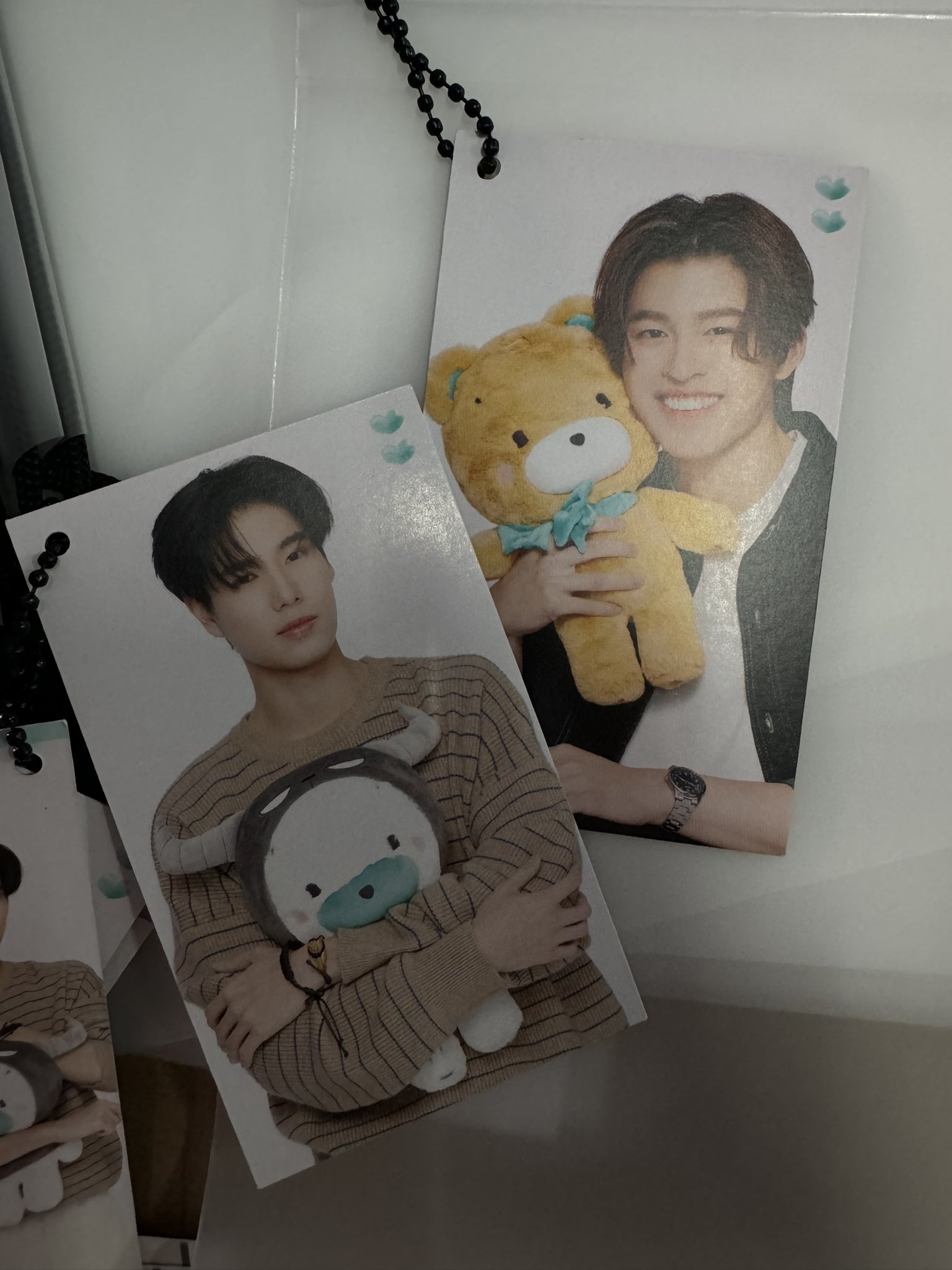 その他 We Are PEEM BEAR We Are The Series : Peem Bear Doll @ eThaiCD.com