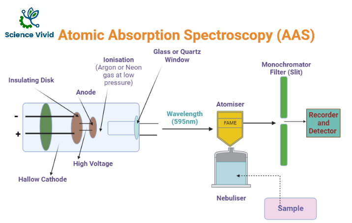 SCIENCEVIVID2's tweet photo. Atomic Absorption Spectroscopy (AAS) is an analytical technique used to determine the concentration of certain elements, metal atoms/ions in given sample. 
https://t.co/PRRaztYZdB https://t.co/odz3Q9VRqi