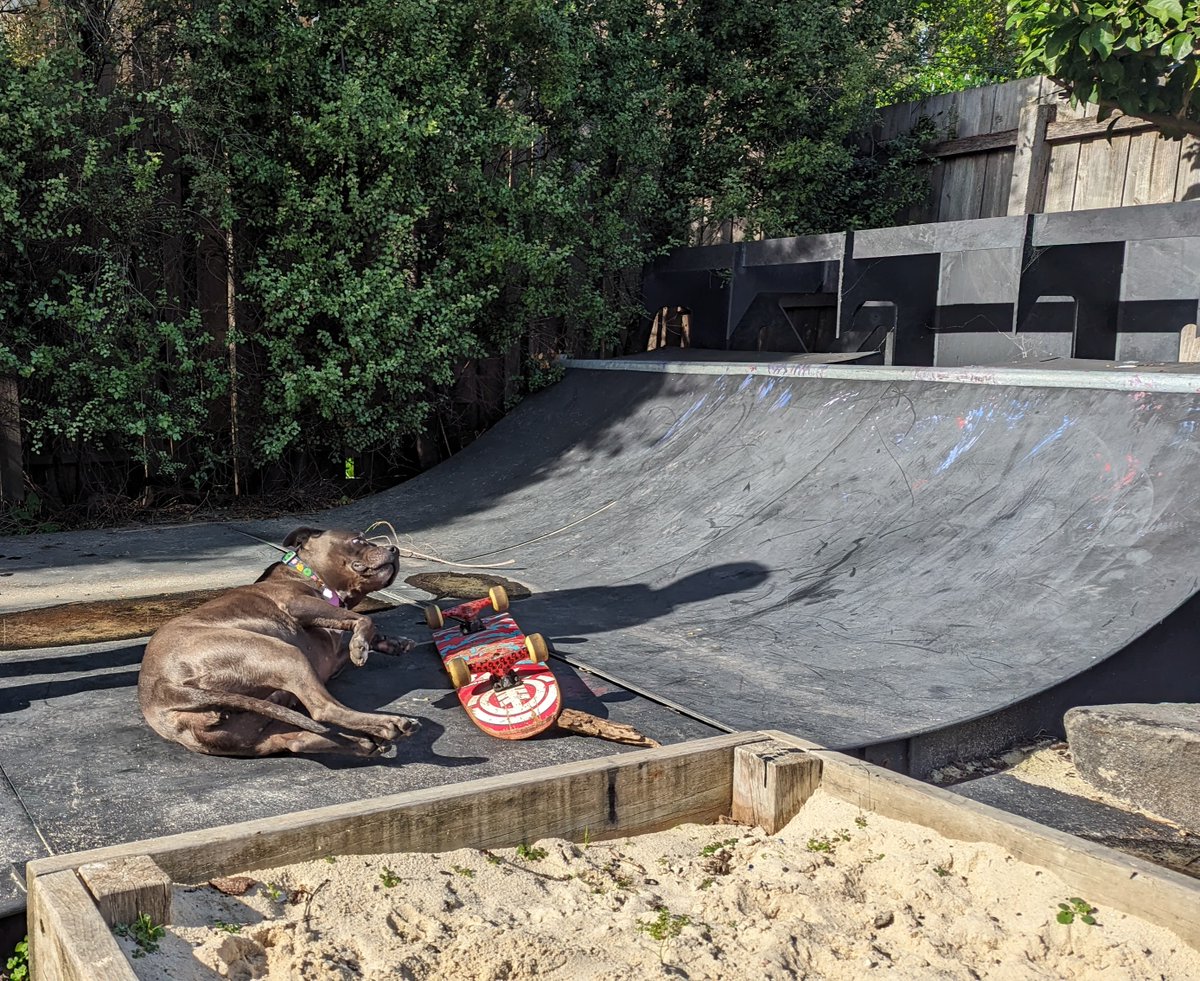 Josh Caratelli tweet media