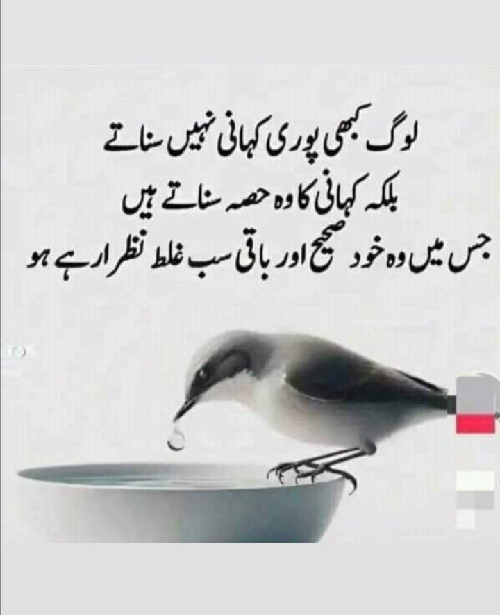 Dr. Mina gul Afridi🇵🇰 tweet media