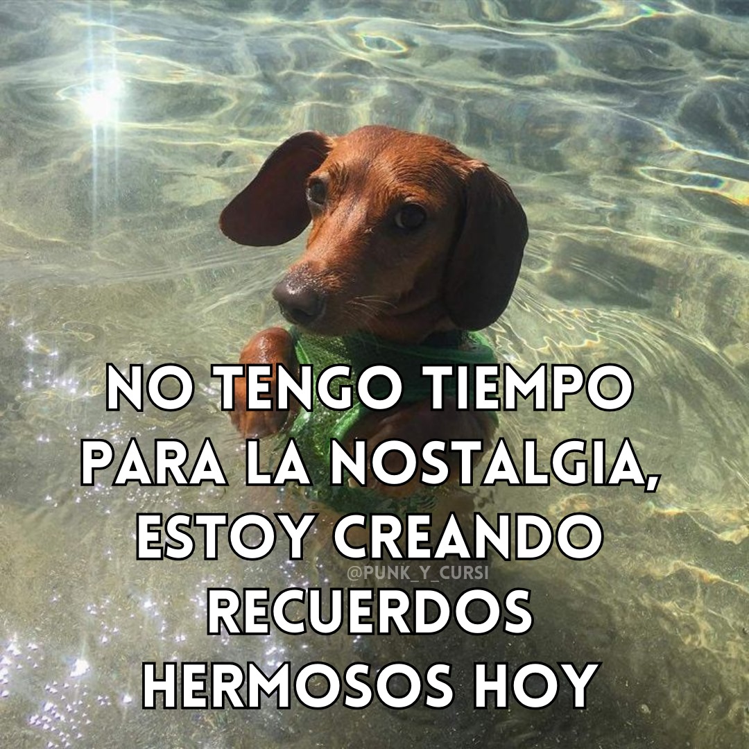 punk_y_cursi's tweet photo. 🌊🌊🌊🌊 https://t.co/NKI43xfxWk