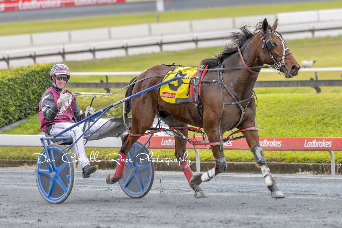 Dan Costello (@danracingwrap) on Twitter photo Miki Goes surfing gets his 1st race win in race 2 <a href="/TheCreekAlbion/">The Creek</a> with <a href="/garrard_angus/">Angus Garrard</a> for trainer <a href="/RileyButt6/">Riley Butt</a> <a href="/TRButtRacing/">Tim & Riley Butt Racing</a> <a href="/KateButtt/">Kate Butt</a> Miki Goes surfing gets his 1st race win in race 2 <a href="/TheCreekAlbion/">The Creek</a> with <a href="/garrard_angus/">Angus Garrard</a> for trainer <a href="/RileyButt6/">Riley Butt</a> <a href="/TRButtRacing/">Tim & Riley Butt Racing</a> <a href="/KateButtt/">Kate Butt</a>