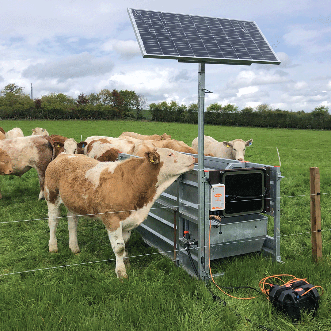 🚜🐄 Join the modern farming revolution! 🐄🚜

Upgrade your cattle management game with the Ritchie Beef Monitor. Embrace technology that enhances efficiency and improves animal welfare. 📲👩‍🌾👨‍🌾

Contact your local dealer today