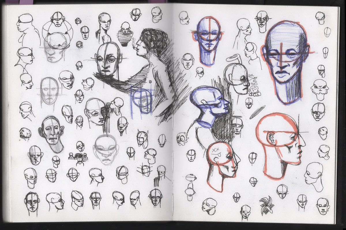 Head studies
