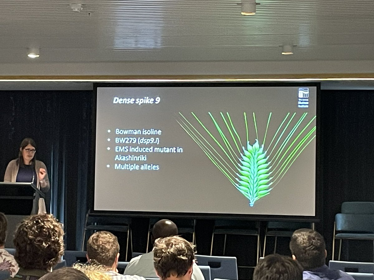 Matthew Tucker (@drtucks) on Twitter photo Fantastic talk from <a href="/SchreiberMiri/">Miriam Schreiber</a> at #abts2024 on barley genetics, genomics and developmental phenotypes <a href="/abts_2024/">abts2024</a> <a href="/waiteresearch/">Waite Research Institute</a> <a href="/JamesHuttonInst/">James Hutton Institute</a> 🍻 Fantastic talk from <a href="/SchreiberMiri/">Miriam Schreiber</a> at #abts2024 on barley genetics, genomics and developmental phenotypes <a href="/abts_2024/">abts2024</a> <a href="/waiteresearch/">Waite Research Institute</a> <a href="/JamesHuttonInst/">James Hutton Institute</a> 🍻