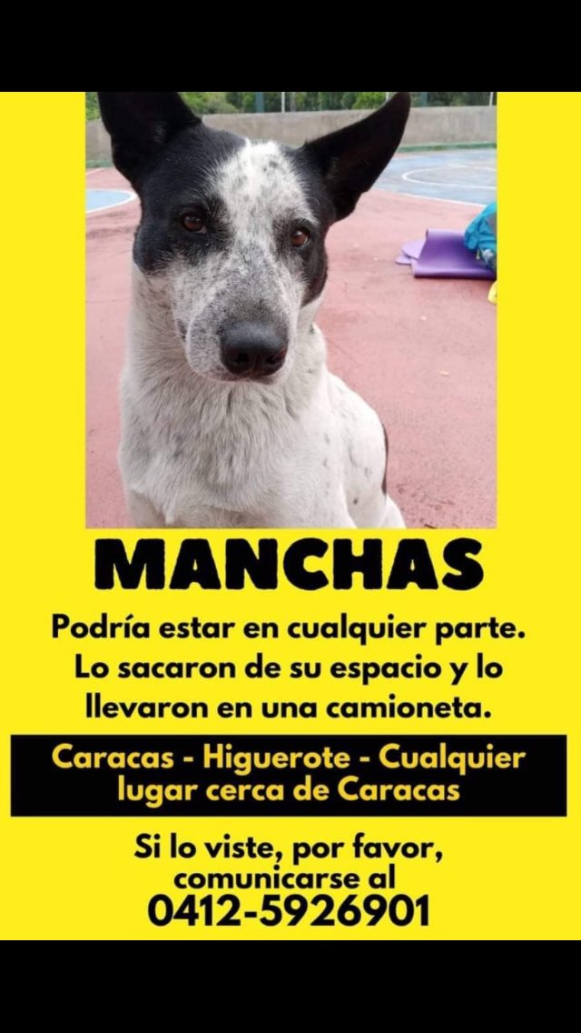 Donde está Mancha? ⁦<a href="/Farmatodo/">Farmatodo</a>⁩ 😡🤬