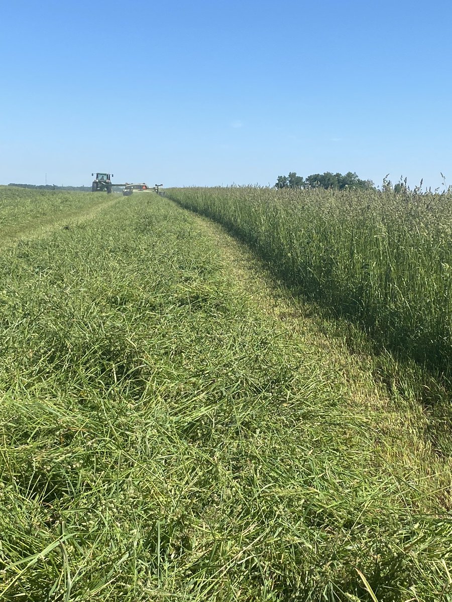 Just putting this out there. 1200 Prairie hay bales for sale, have weighted a few 1550+. John Deere netwrap. Prefer to sell by the truck load. $80/ton loaded on your trailer. RT’s appreciated