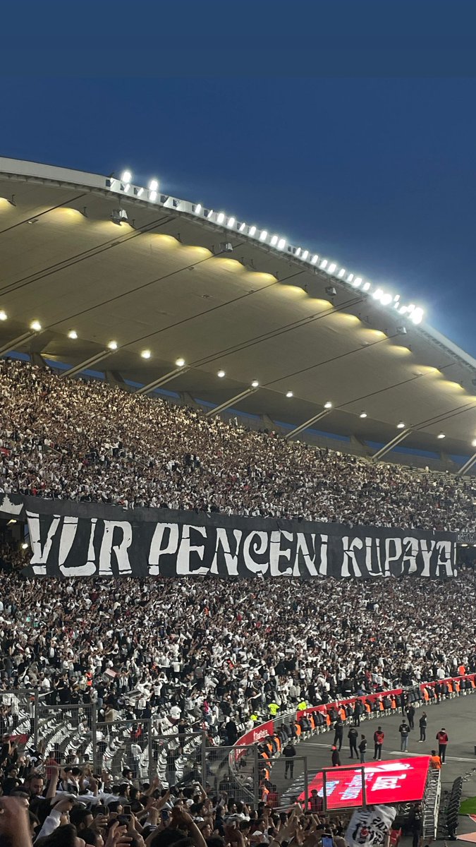 sadecefe tweet media