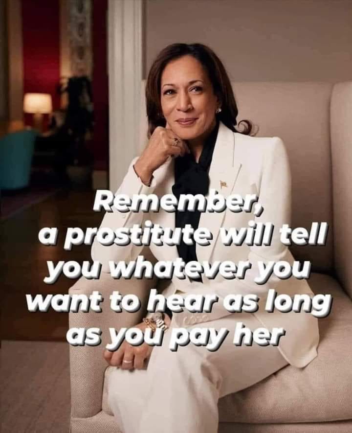 cat_barnes30's tweet image. 💯💯💯