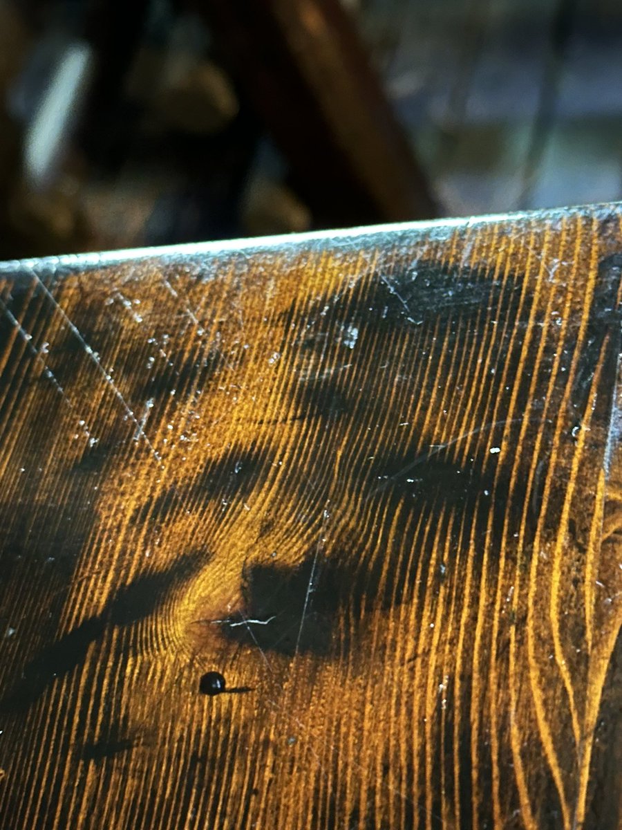 DOG IN WOOD tweet media