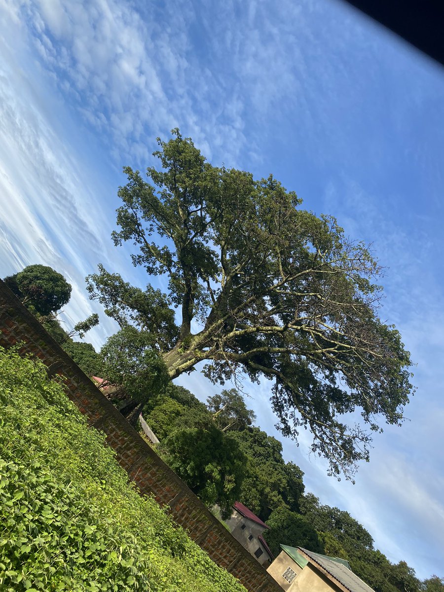 fulani_Aangel's tweet photo. Comment dire que j’ai la nostalgie de mon village 😭🇬🇳💔
#GuineeConakry #Fouta #lelouma https://t.co/MeoYXjGnc5