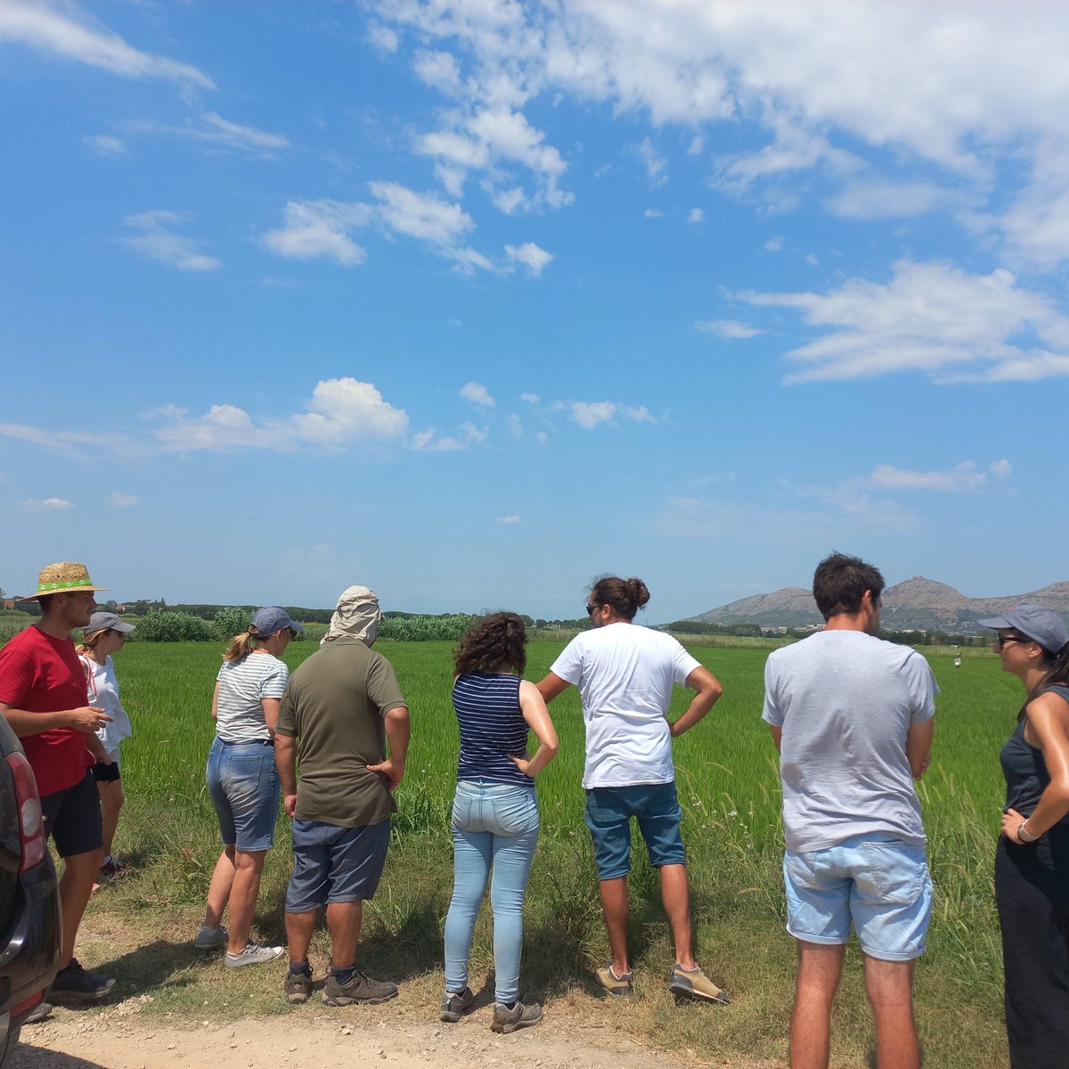 Molt agraïts per la visita que hem rebut avui juntament amb <a href="/ADVPals/">Adv Arròs de Pals</a> de l'equip d'<a href="/irtacat/">IRTA</a> de les Terres de l'Ebre a la zona d'arrossars de #Pals !