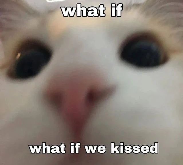 astralbaes's tweet photo. https://t.co/rU2S9qG1tX