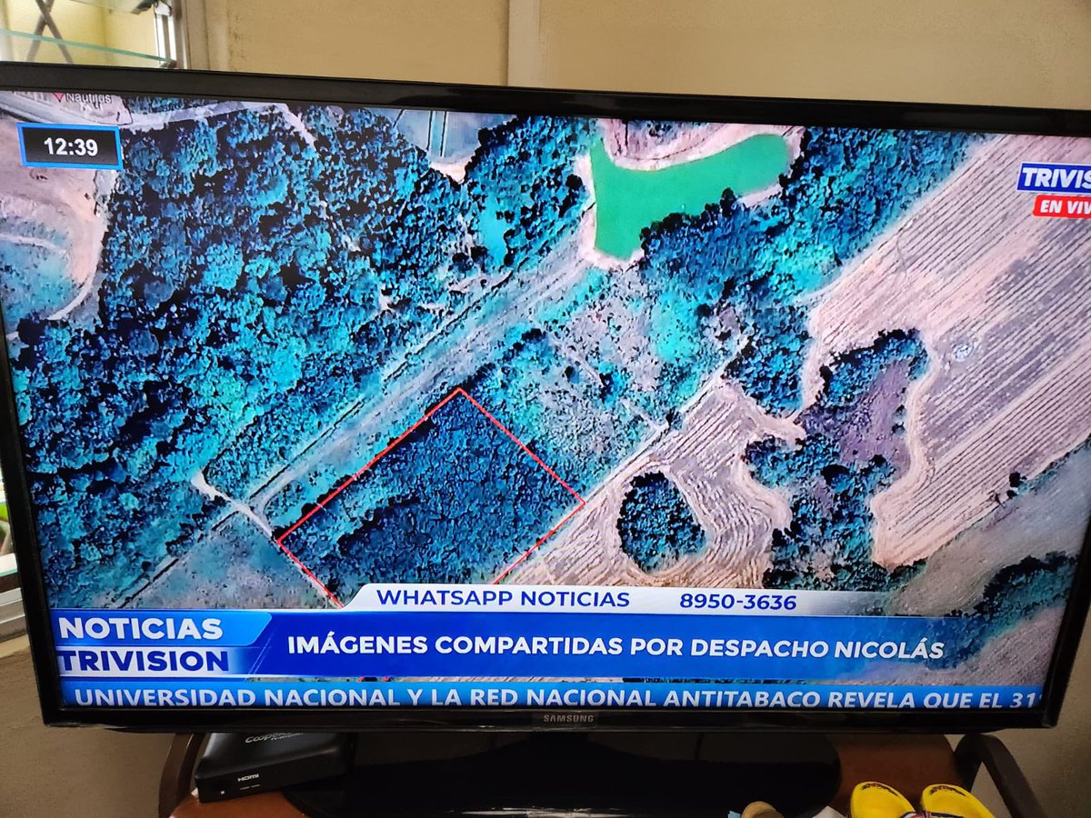 RoblesBarrantes's tweet photo. Hoy el diputado Francisco Nicolás comparte imágenes aéreas del Proyecto Místico de la Familia Cisneros Gallo. Ojo el arrozal que nos dijo la diputada Pilar que era lo que ahí había. 👇🏾 https://t.co/N9l97ohbj9