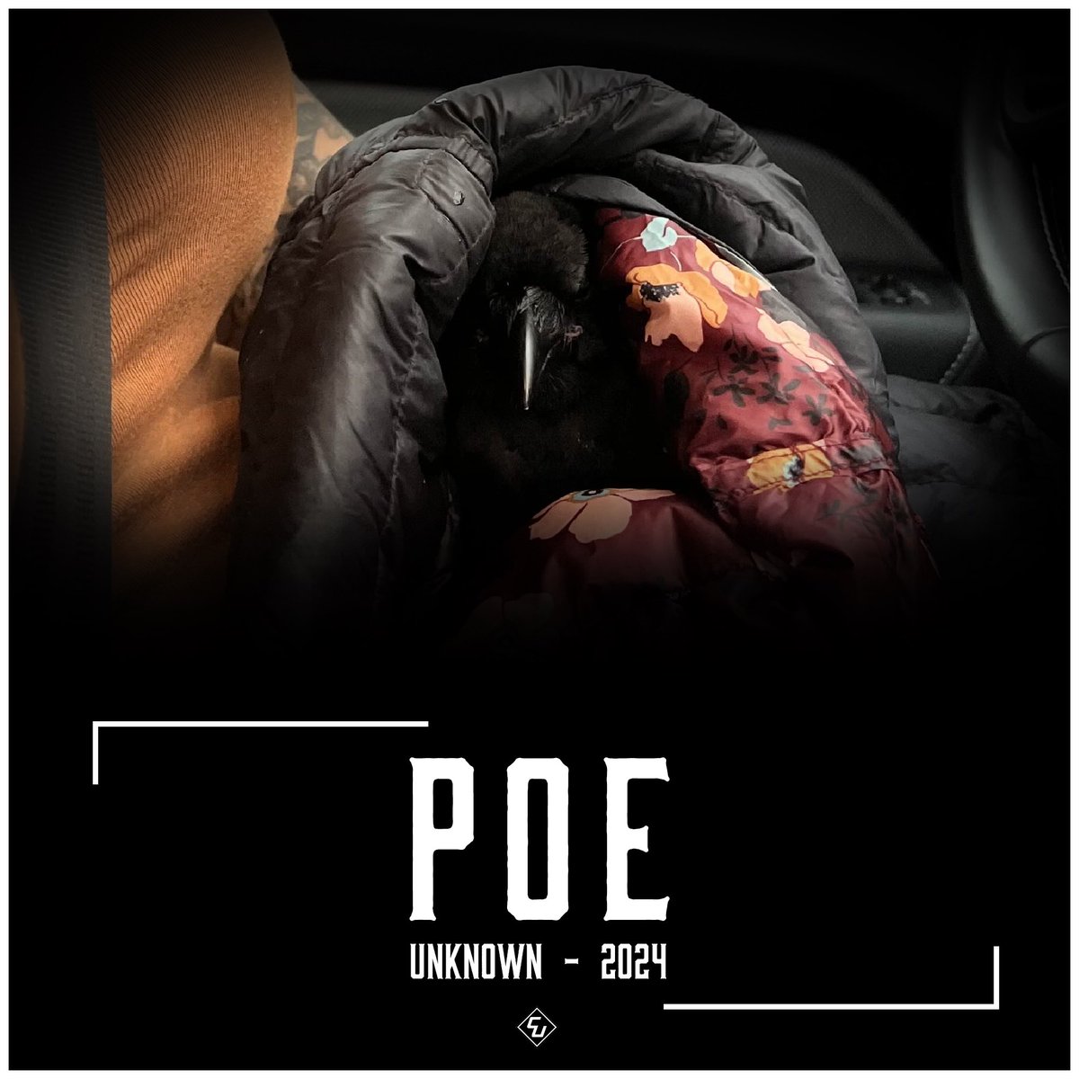 Central United Motorsport tweet media