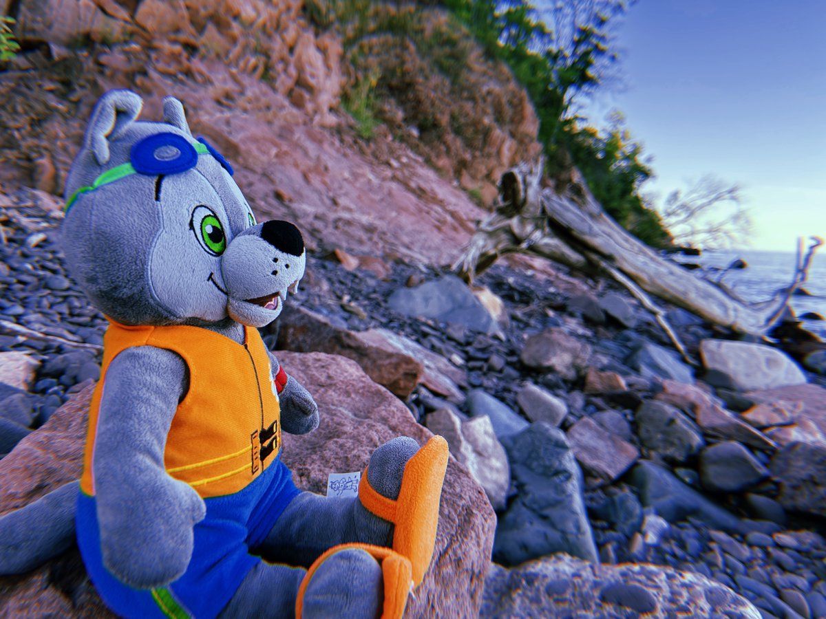 doit4wildlife's tweet photo. #wileywednesday down by the shoreline πΎ https://t.co/6WKgKzf19W