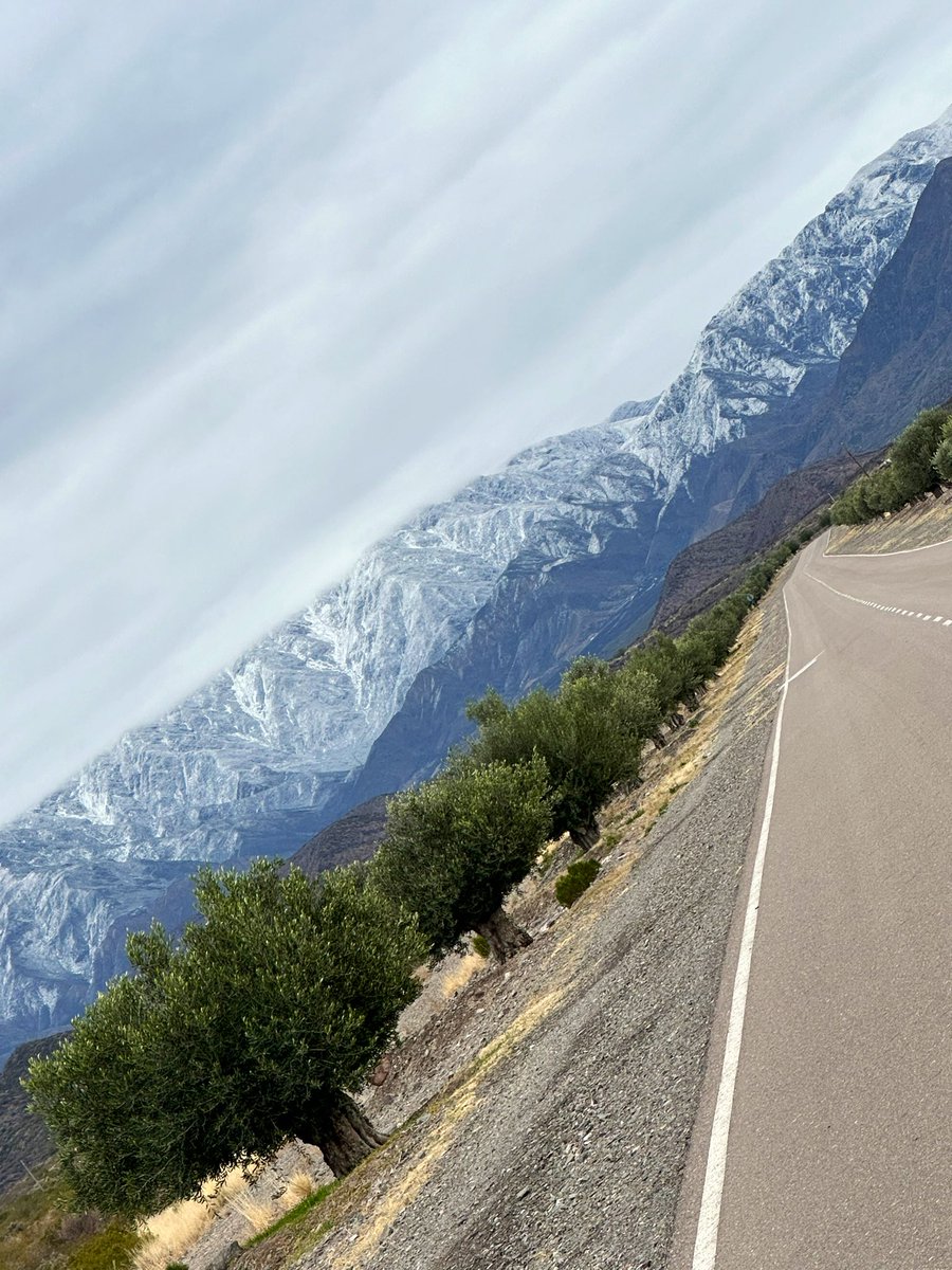 Home 🤍🏔️ #mendoza