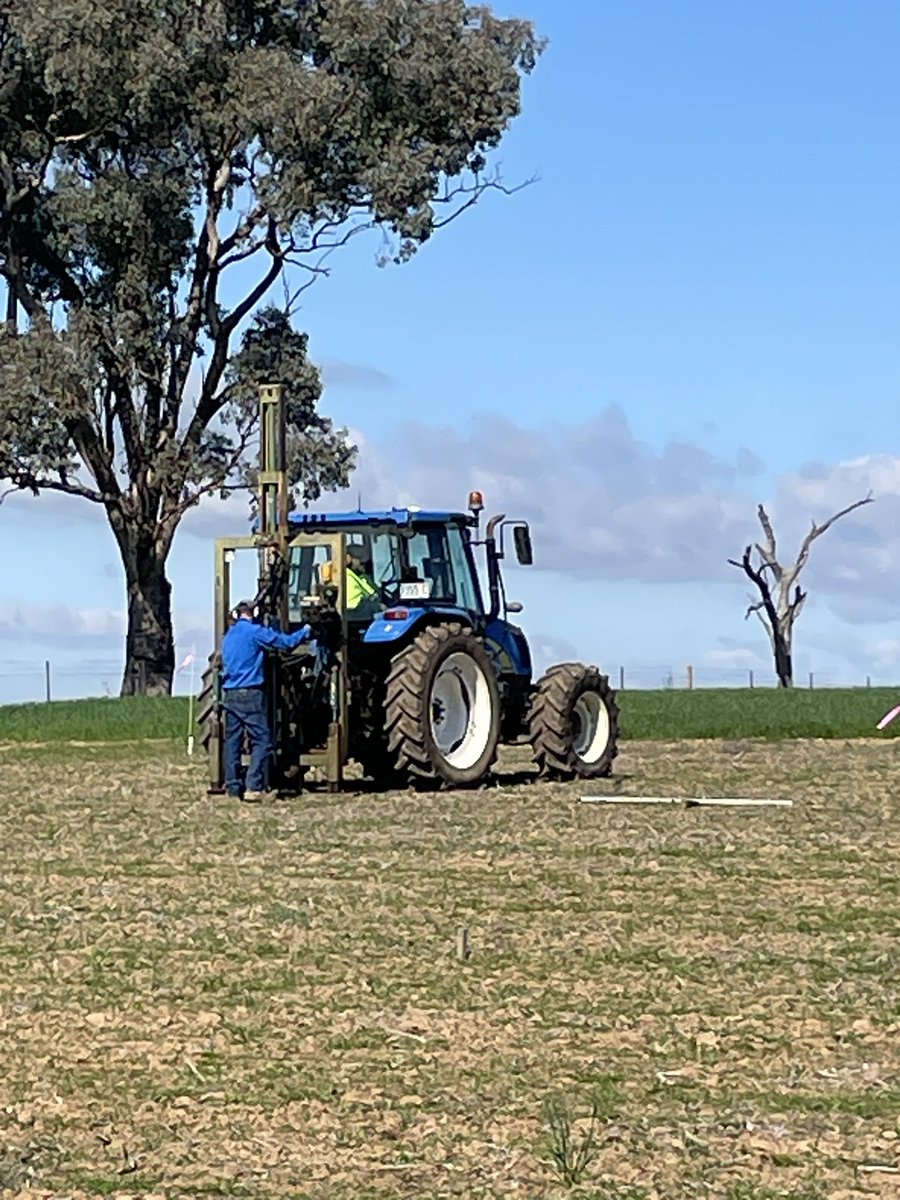 newellm_matt's tweet photo. Another Day another lime trial. Cowra lime expt. 4 pH profiles x 2 phos rates. Installing neutron probe tubes today to see if improving Colwell P and soil pH can increase water extraction at depth under pasture @meatlivestock @rickchayes @DrJasonCondon https://t.co/oIkAHTt5Qb