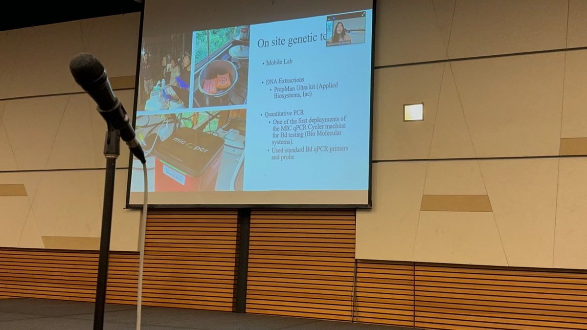 texcroc's tweet photo. PhD candidate Mar @anuradelmar represents the #RDZLab &amp; @txst at World Congress of Herpetology in Borneo thanks to #GARD! Great job presenting your #NSF funded research on amphibian-chytrid in the canopy to the global community. We're all super proud of you! 🐸🌳🧬🍄‍🟫#WCH10 https://t.co/QVC9xcHQFH