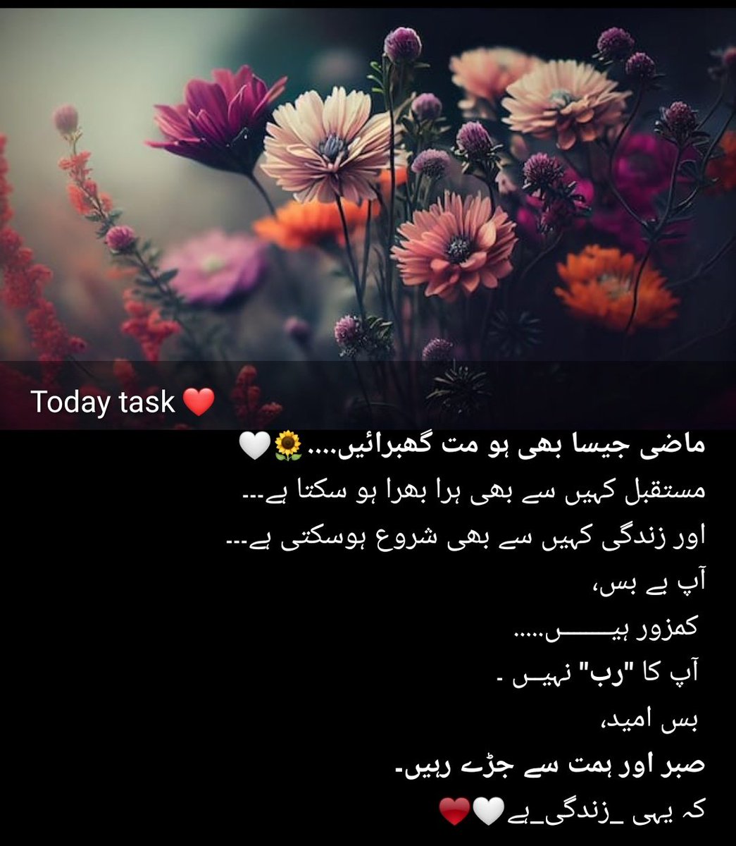 SubhanMeer12's tweet photo. https://t.co/AgZ7rorKiq