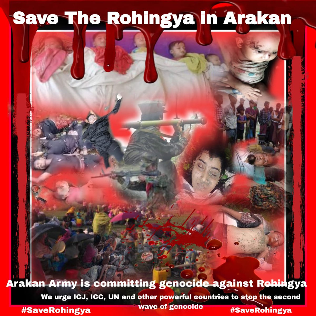 MdRaihan4538's tweet photo. Arakan has become a silent genocide place for the Rohingya Muslim population by the brutal acts of the terrorist Rakhine Rebel Group AA and Myanmar's Military.
#Save_Rohingya
#Stop_Genocide https://t.co/p6f8iehWR3