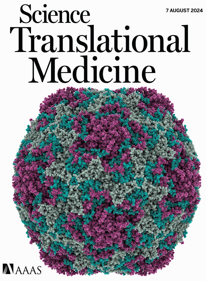 jesseerasmus's tweet photo. 1/12 Enterovirus D68 (EV-D68), part of the Picornaviridae family, transmits through respiratory droplets. Since 2014, it's been linked to over 756 cases of acute flaccid myelitis in the US, mostly affecting children; highlighting the urgent need for an effective vaccine. #AFM https://t.co/OziCfmOD1H